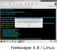 Our site in Netscape 4